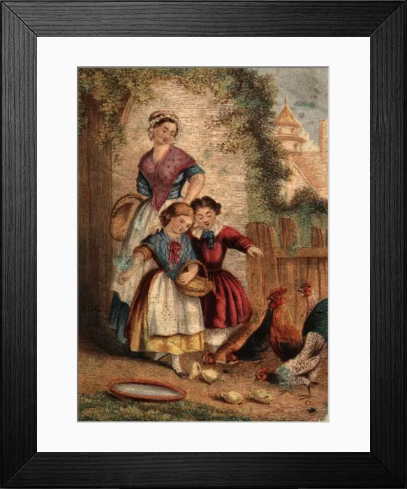 Framed Print : Chicken Feed