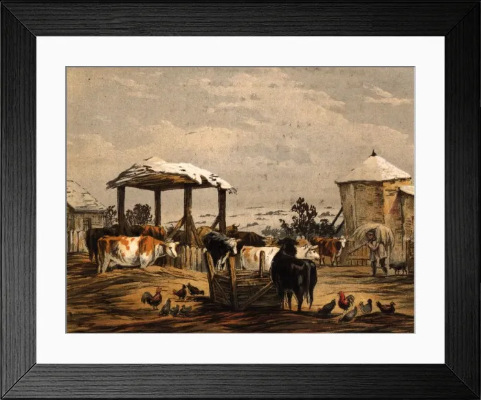 Framed Print : Winter Feed Framed Print : Winter Feed