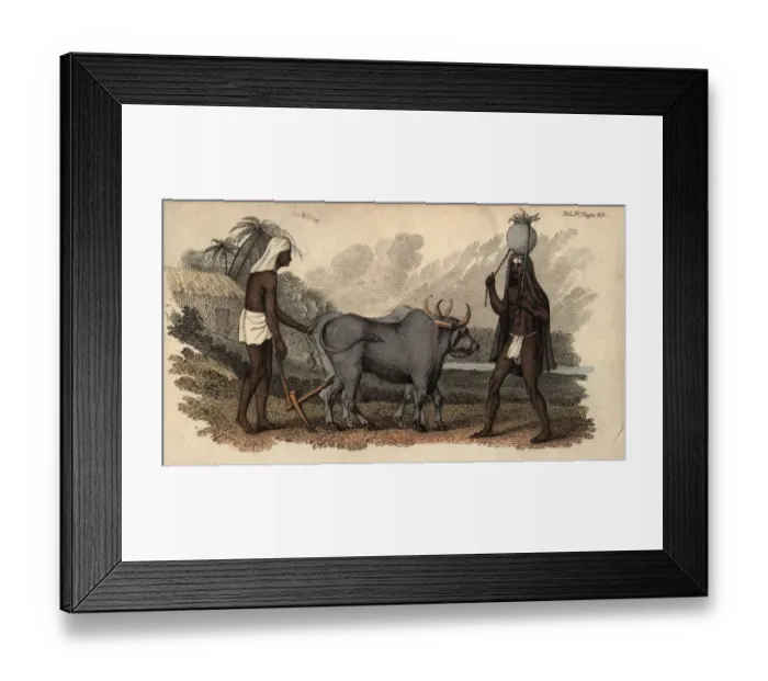 Framed Print : Hindu Ploughman