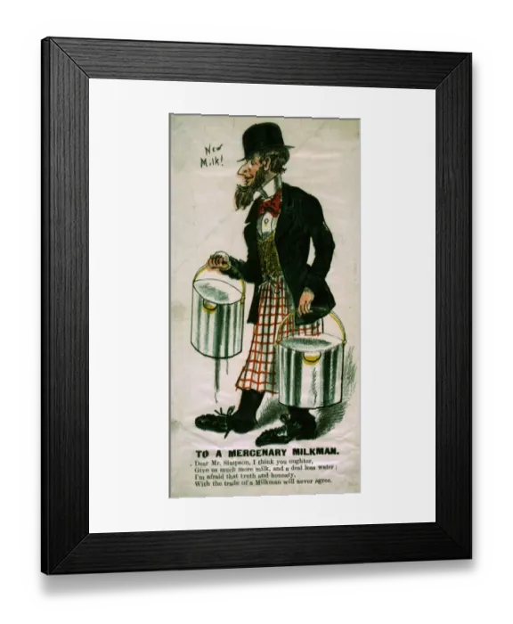 Framed Print : Ode To A Milk Skimmer Framed Print : Ode To A Milk Skimmer