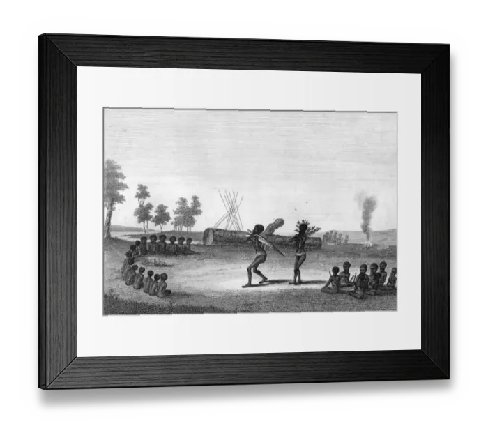 Framed Print : Australian Natives Framed Print : Australian Natives