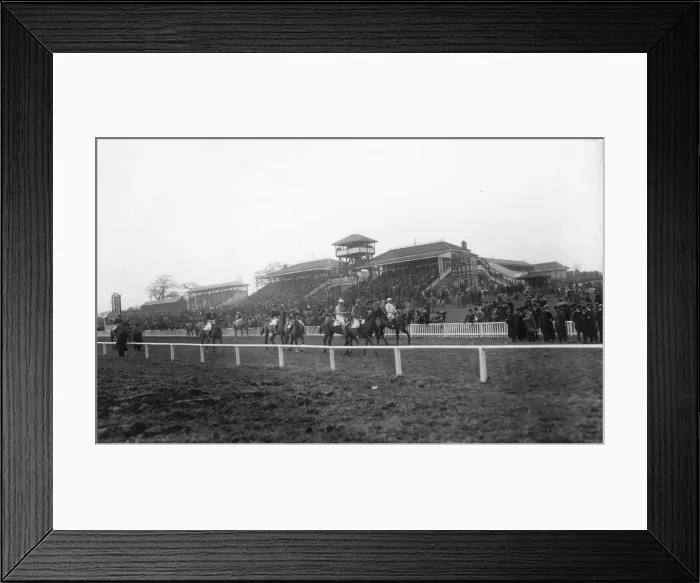 Framed Print : The Steeplechase Framed Print : The Steeplechase