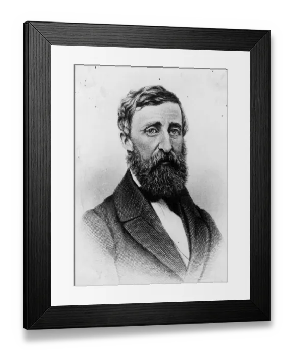 Framed Print : Henry Thoreau Framed Print : Henry Thoreau