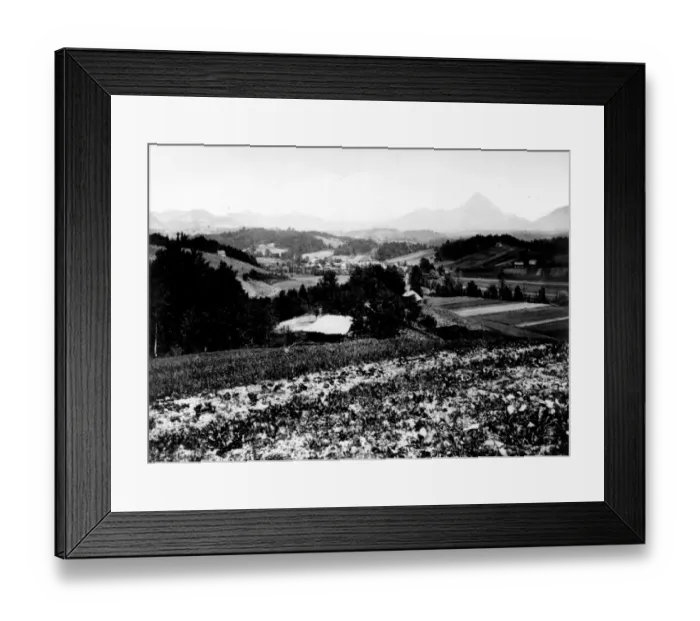 Framed Print : Donatiberg Framed Print : Donatiberg