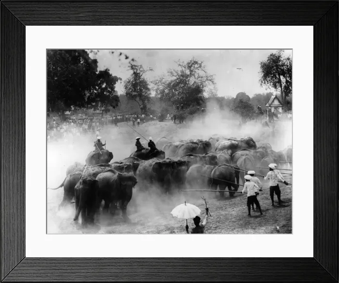 Framed Print : Elephant Hunt Framed Print : Elephant Hunt