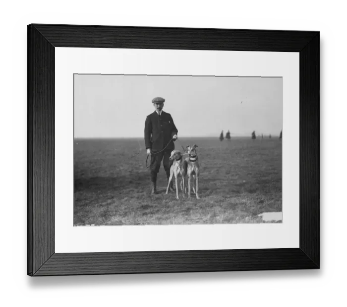 Framed Print : Two Greyhounds Framed Print : Two Greyhounds