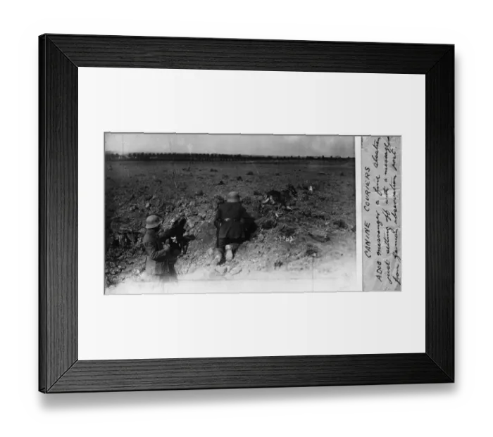 Framed Print : Canine Couriers Framed Print : Canine Couriers