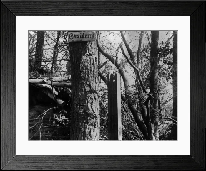 Framed Print : Gas Alarm. circa 1916: A German signal alarm to warn when their gas is being used Framed Print : Gas Alarm. circa 1916: A German signal alarm to warn when their gas is being used