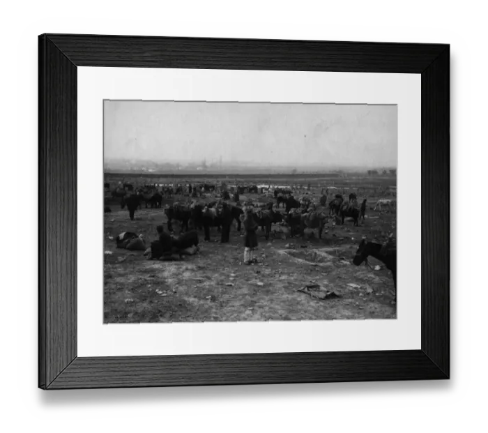Framed Print : In Macedonia Framed Print : In Macedonia