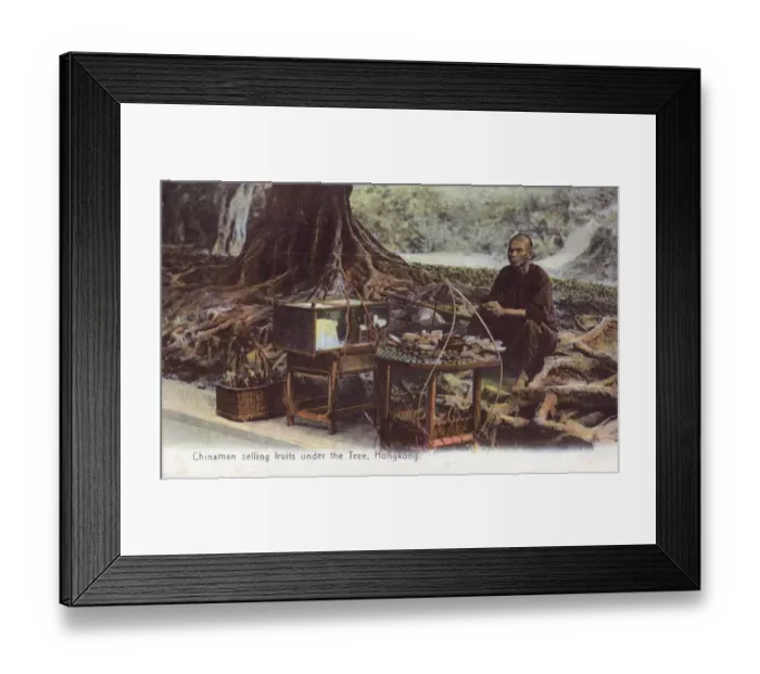 Framed Print : Fruit Seller