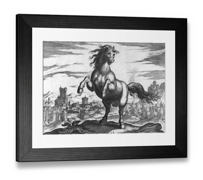Framed Print : Mad Horse. circa 1800: A horse with a curious facial expression on a hilltop above a town Framed Print : Mad Horse. circa 1800: A horse with a curious facial expression on a hilltop above a town