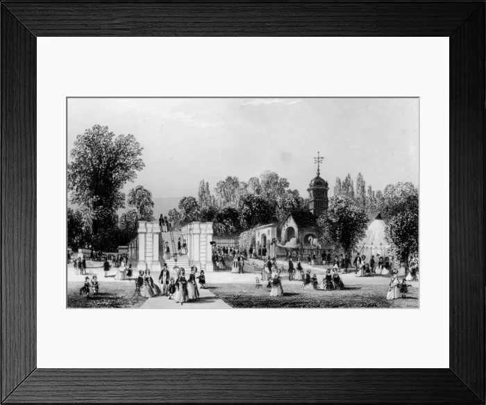 Framed Print : London Zoo Framed Print : London Zoo