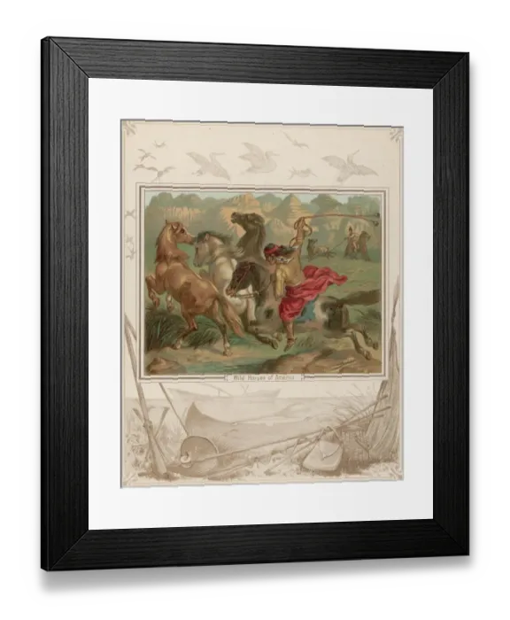 Framed Print : Wild Horses Framed Print : Wild Horses