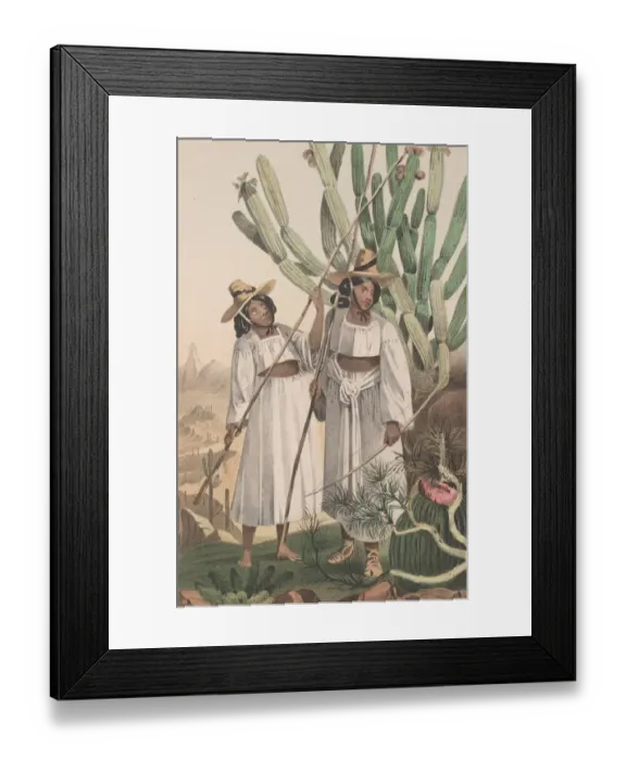 Framed Print : Papagos. circa 1800: Two Papago women carrying a bow Framed Print : Papagos. circa 1800: Two Papago women carrying a bow