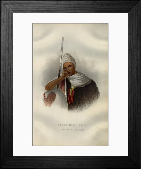 Framed Print : Abyssinian Framed Print : Abyssinian