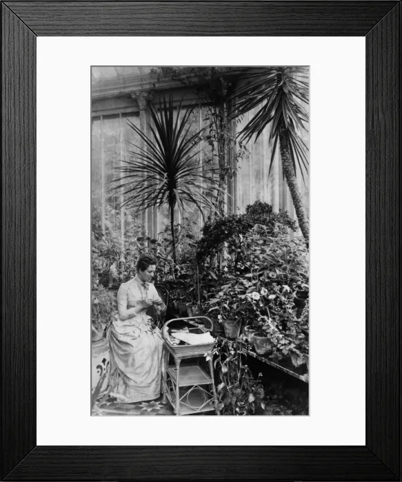 Framed Print : Knit One Purl One Framed Print : Knit One Purl One