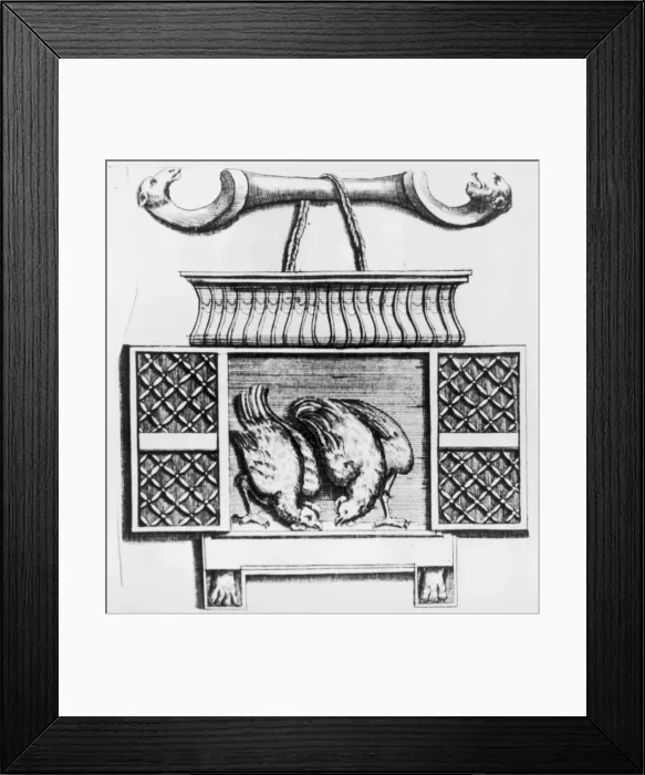 Framed Print : Prediction By Chicken Framed Print : Prediction By Chicken