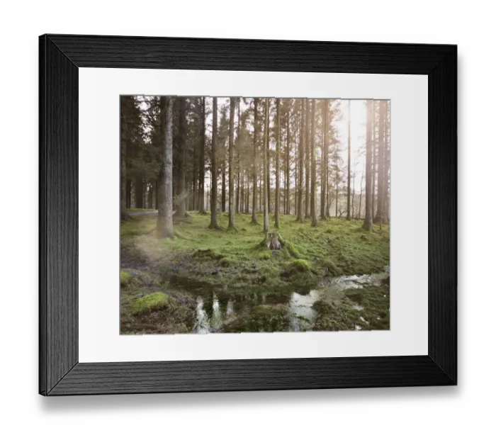 Framed Print : Unplug neon in the forest Framed Print : Unplug neon in the forest