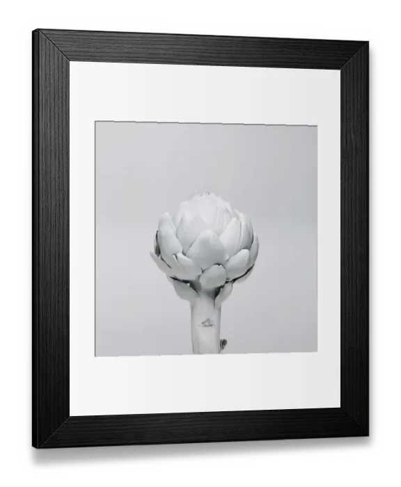 Framed Print : White nature Framed Print : White nature