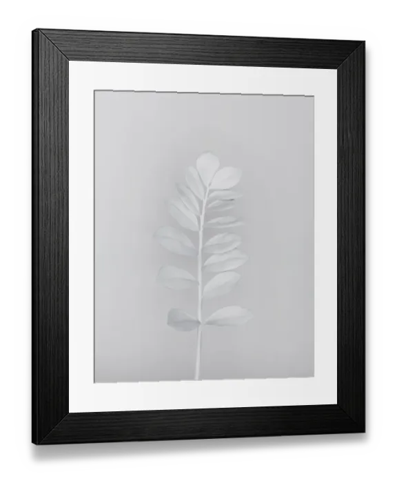 Framed Print : White nature Framed Print : White nature