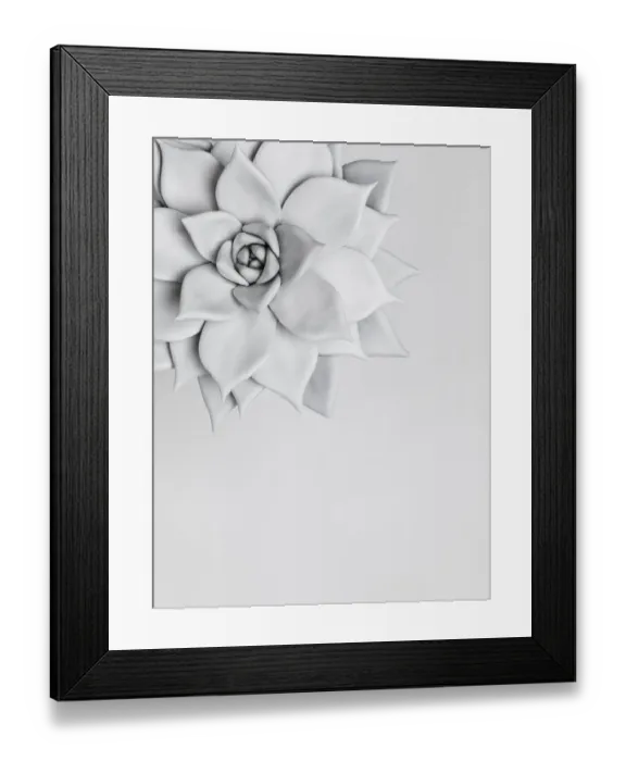 Framed Print : White nature Framed Print : White nature
