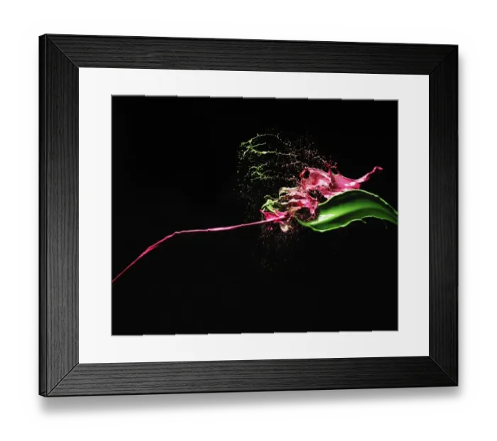 Framed Print : Color splash Framed Print : Color splash