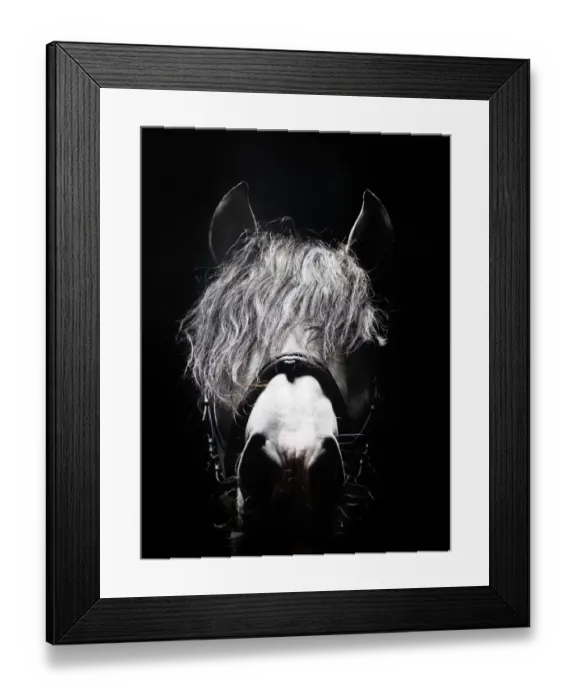 Framed Print : Frontal head portrait of grey horse