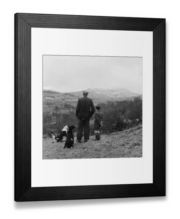 Framed Print : Tryweryn Valley Framed Print : Tryweryn Valley