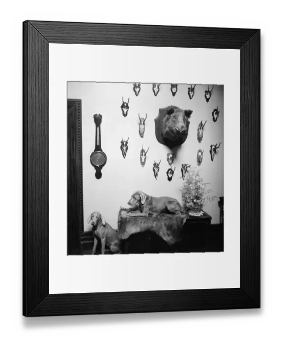 Framed Print : Hunting Trophies Framed Print : Hunting Trophies