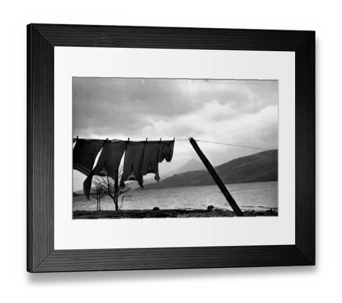 Framed Print : Out To Dry Framed Print : Out To Dry