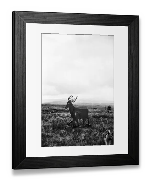 Framed Print : Target Practice Framed Print : Target Practice