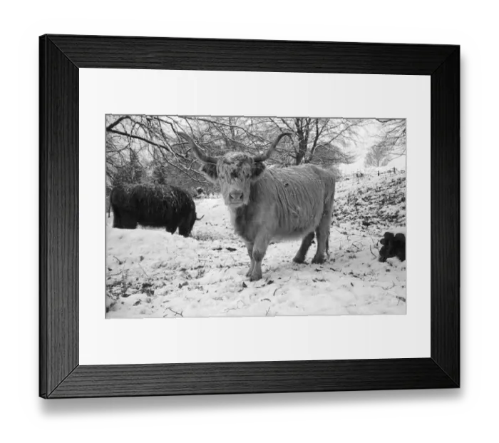 Framed Print : Winter Coat Framed Print : Winter Coat