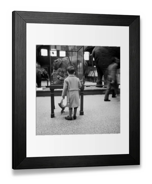 Framed Print : They re More My Size