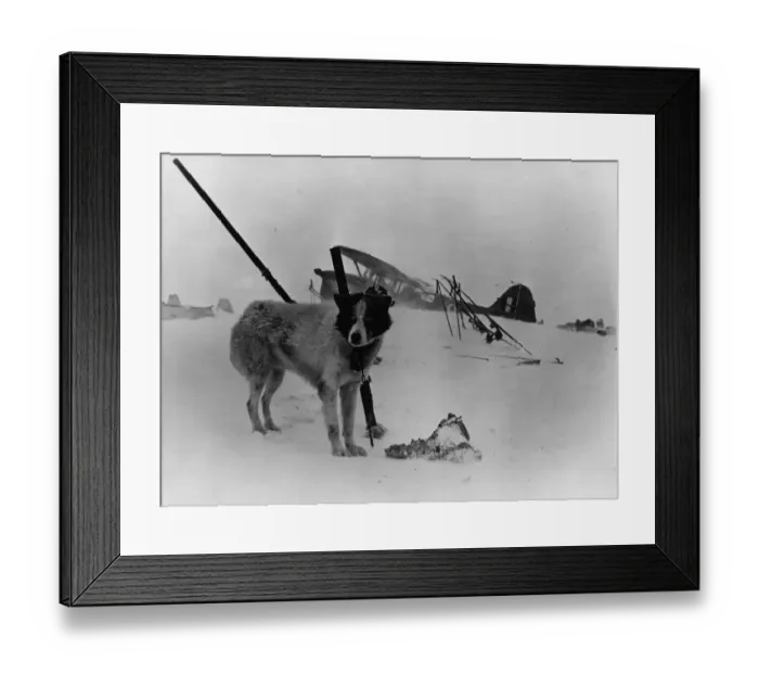 Framed Print : The White Continent Framed Print : The White Continent