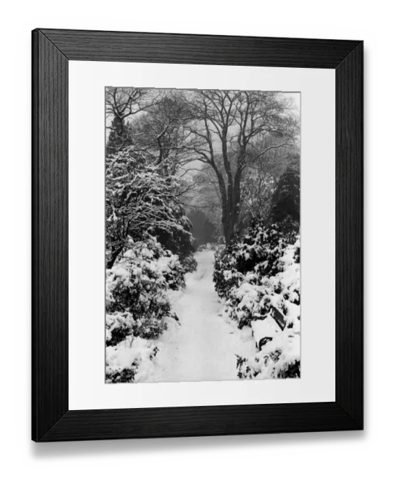 Framed Print : Snow Scene Framed Print : Snow Scene