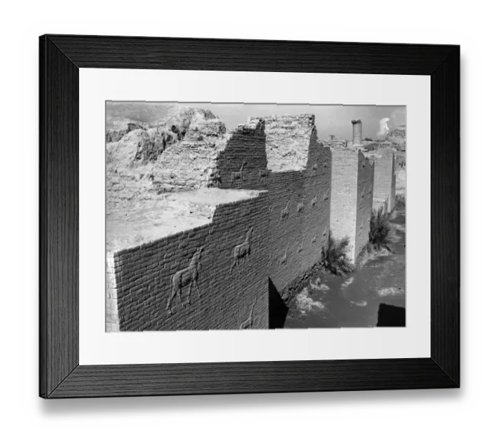 Framed Print : Wall Carvings Framed Print : Wall Carvings