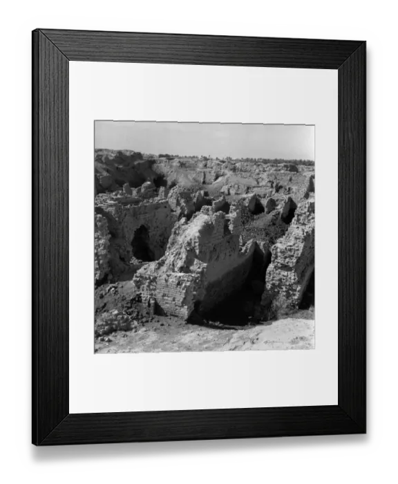 Framed Print : Hanging Gardens Framed Print : Hanging Gardens
