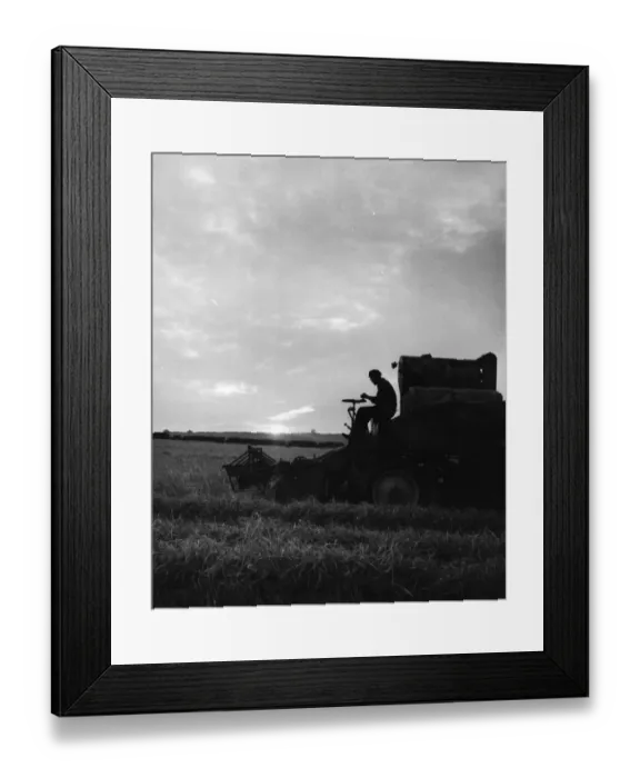 Framed Print : Sunset Harvest Framed Print : Sunset Harvest
