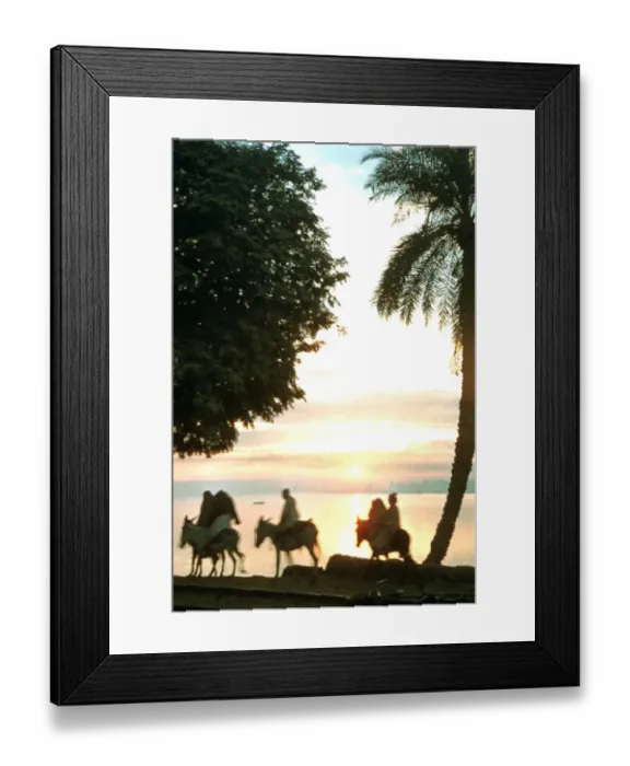 Framed Print : Egypt Under Nasser Framed Print : Egypt Under Nasser
