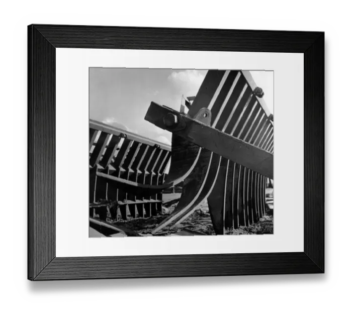 Framed Print : A root rake, a piece of agricultural machinery used in groundnut farming Framed Print : A root rake, a piece of agricultural machinery used in groundnut farming