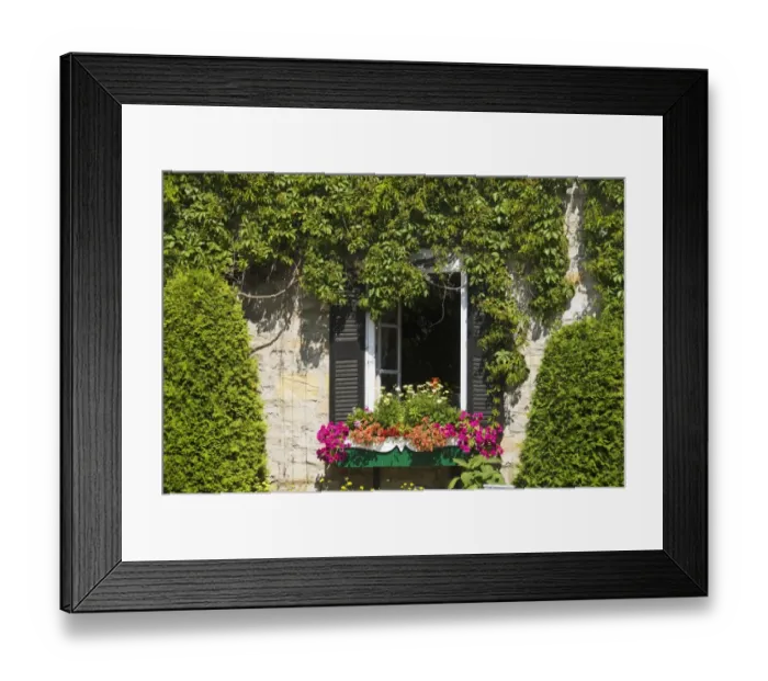 Framed Print : Window With Open Green Shutters And Flowers In A Windowbox Framed Print : Window With Open Green Shutters And Flowers In A Windowbox
