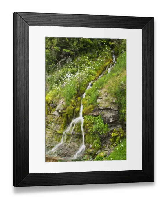 Framed Print : Small Waterfall Among Plants And Wildflowers In Forillon National Park Framed Print : Small Waterfall Among Plants And Wildflowers In Forillon National Park