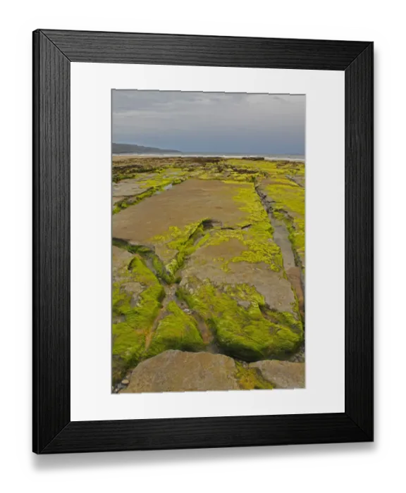 Framed Print : Green Rocks On Fanore Beach In The Burren Region Framed Print : Green Rocks On Fanore Beach In The Burren Region