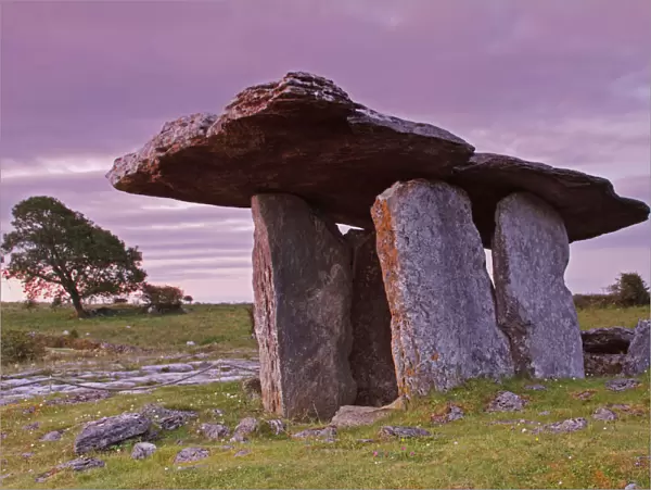 Poulnabrone Portal Dolmen In The Burren Region