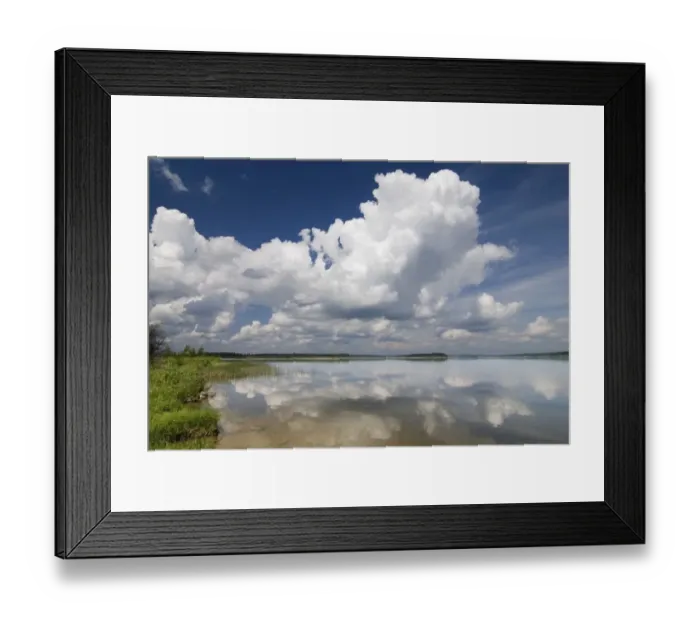 Framed Print : Large Cumulus Clouds Over Anglin Lake Framed Print : Large Cumulus Clouds Over Anglin Lake