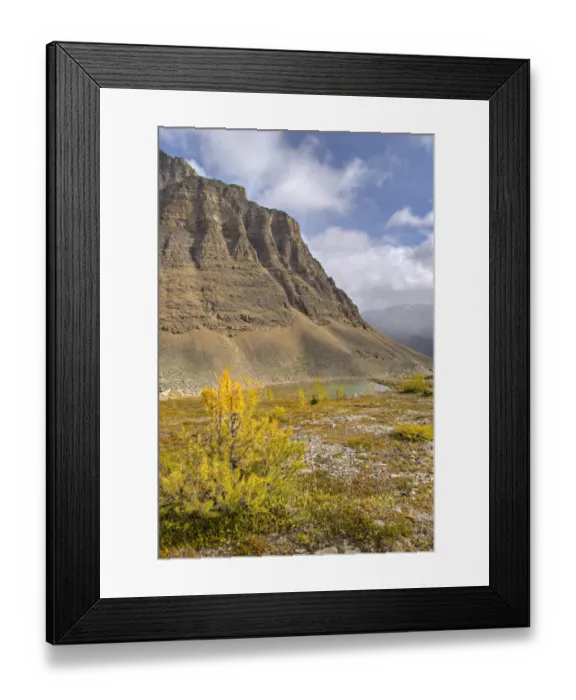 Framed Print : Larch Valley Framed Print : Larch Valley