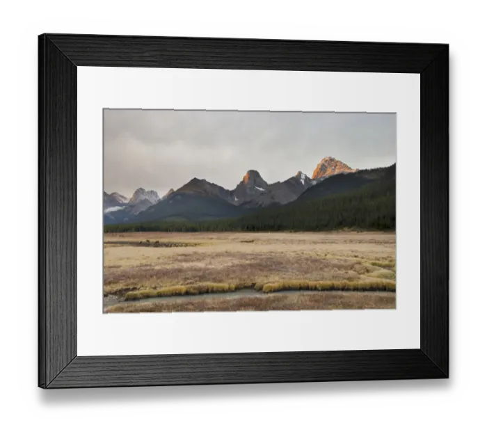 Framed Print : Moose (Alces Alces) Grazing At Sunset With The Mountains In The Background Framed Print : Moose (Alces Alces) Grazing At Sunset With The Mountains In The Background