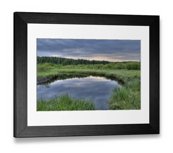 Framed Print : A Pond At Sunset In Prince Albert National Park