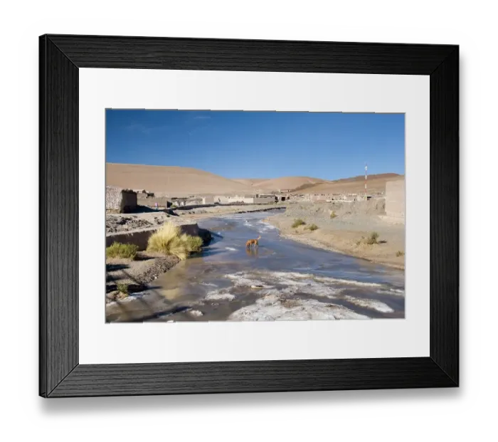 Framed Print : a dog walking on a frozen stream Framed Print : a dog walking on a frozen stream