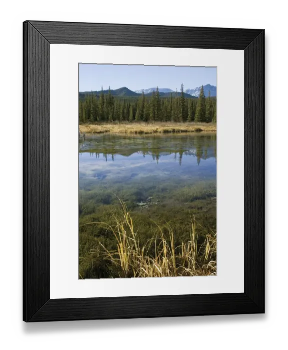 Framed Print : freezing pond Framed Print : freezing pond